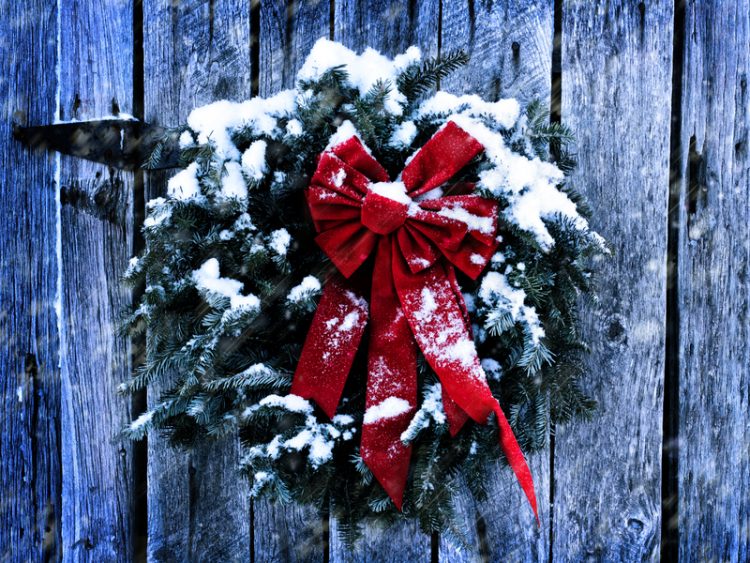stephaniefrey-123RF-48104975_custom alternate text for this image