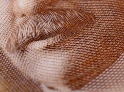 Le plafond du CELI doublé?