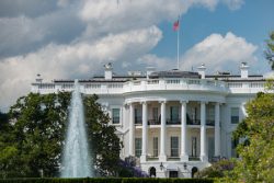 Investiture de Trump : en attendant la levée du rideau