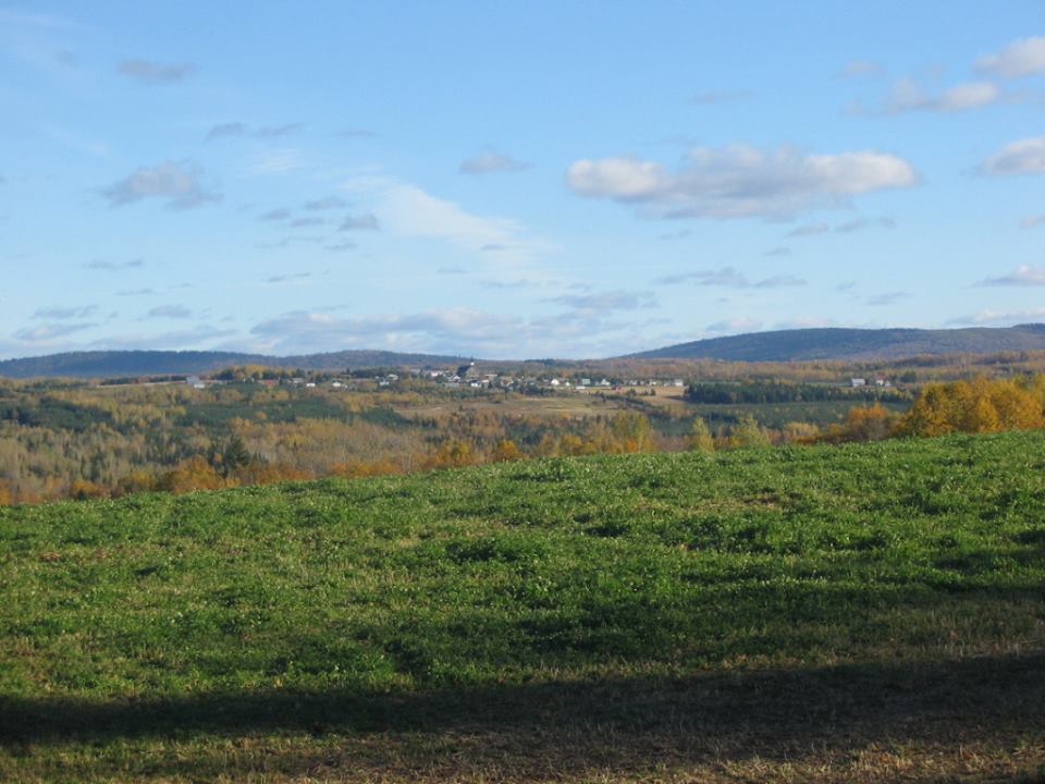 Conseiller en région: le Bas-Saint-Laurent