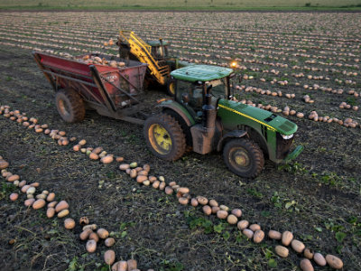 Que récolter à la vente d'une terre agricole