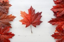 Meridian étend ses activités à l'ensemble du Canada