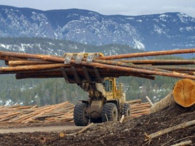 Les gestionnaires actifs d'actions canadiennes méritent-ils ce qu'ils gagnent?