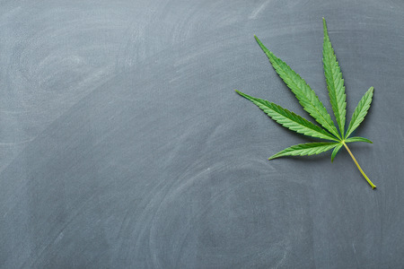 Cannabis: la Scotia et la Royale refusent de servir les producteurs