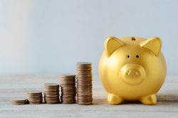 Légère hausse des cotisations au REER