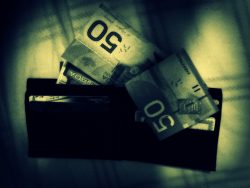 Les inégalités de revenus à la rescousse des centralisateurs