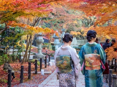 De nouveaux FNB qui recherchent la qualité au Japon