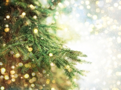 Finance et Investissement vous souhaite de joyeuses fêtes