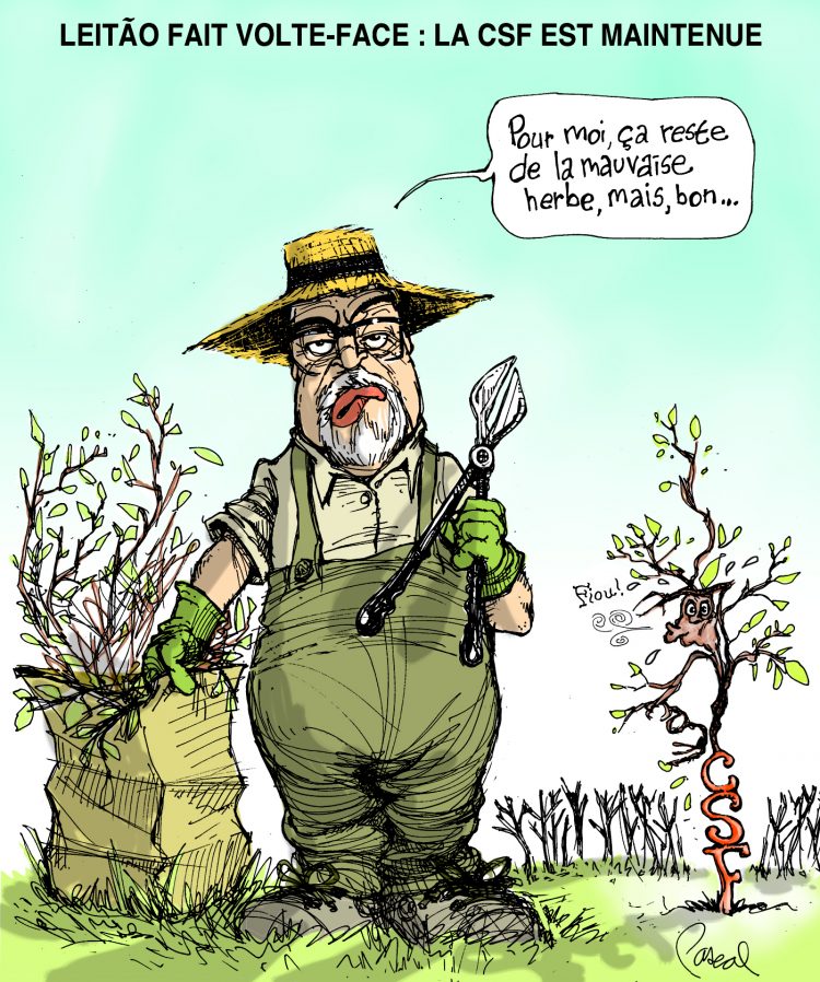 caricFIjuil18 alternate text for this image