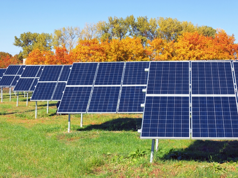 Un champ de panneaux solaires