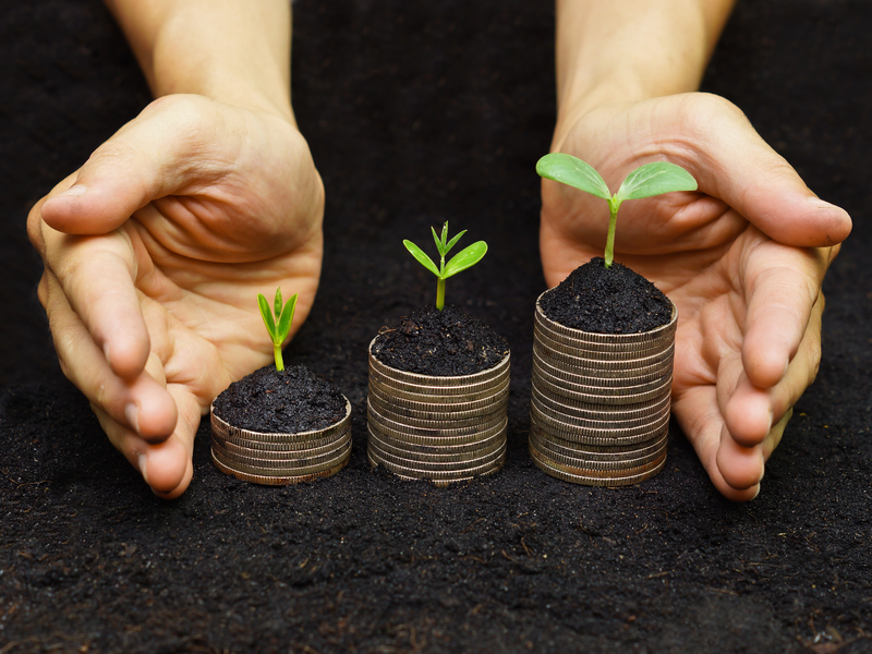 Deux mains protégeant des piles d'argent sur lesquelles poussent des petites plantes.