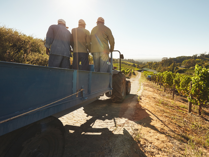 Trois hommes dans un tracteur à la campagne.