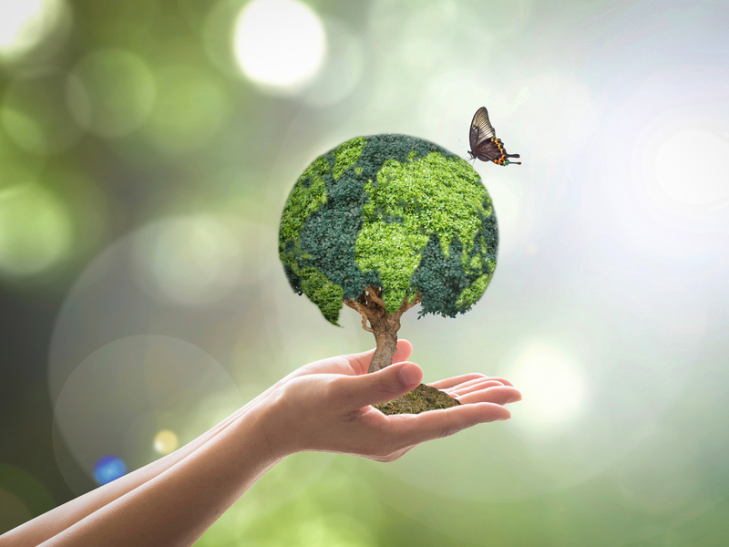 Une femme tenant un petit arbre dans la main dont les feuilles représentent le globe terrestre. Un papillon est vers l'arbre.