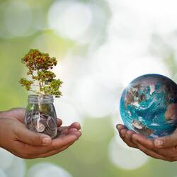 Deux mains en coup tenant un bocal d'argent avec un arbre dedans, face à deux autres mains en coup tenant la Terre.