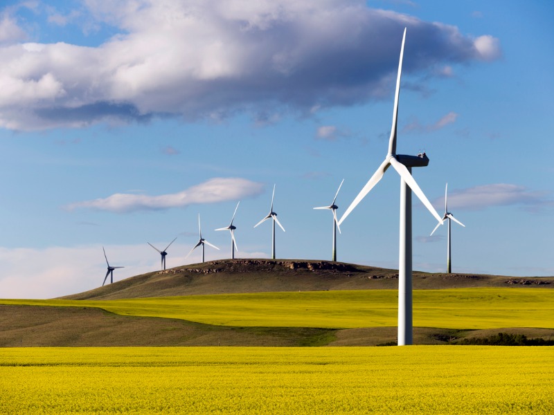 Des éoliennes dans un champ ensoleillé.