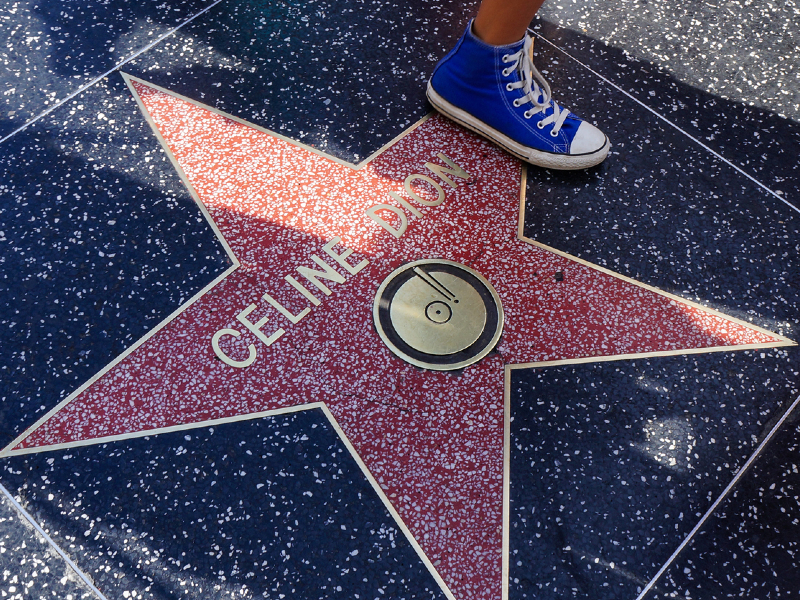L'étoile de Céline Dion à Hollywood avec une basket bleue dessus.