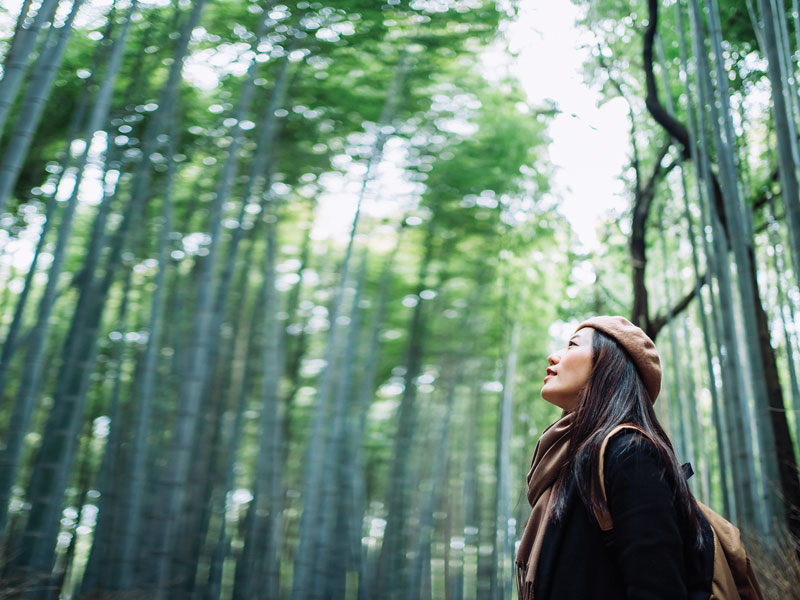 “Woman with a backpack, gazing up at the trees in a forest”
