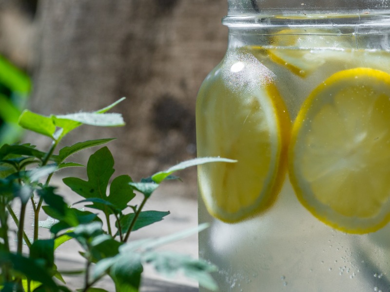 Un verre d'eau avec des citrons dedans.