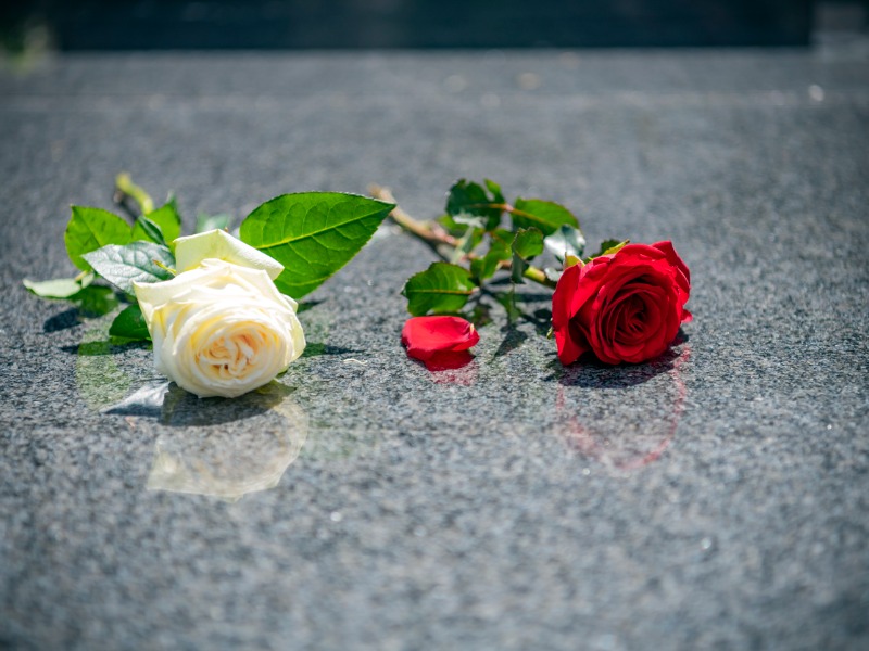 Une rose rouge et une rose blanche posées sur une tombe.