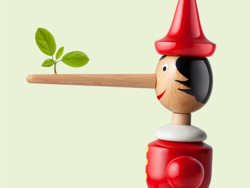 Un petit pinocchio en bois. Sur son long nez pousse une petite plante.