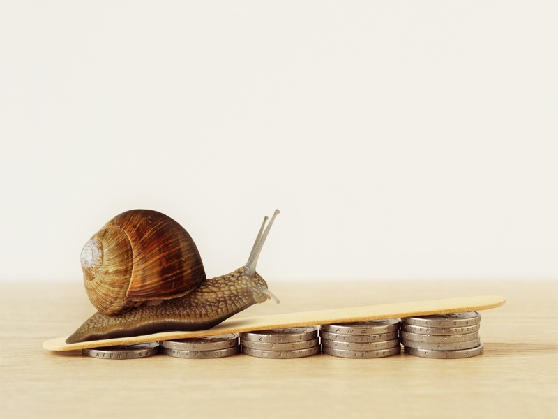 Escargot avançant sur des piles de pièces, symbole d’une croissance financière lente mais stable.